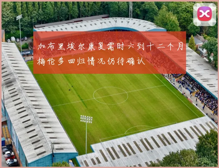 加布里埃尔康复需时六到十二个月梅伦多回归情况仍待确认